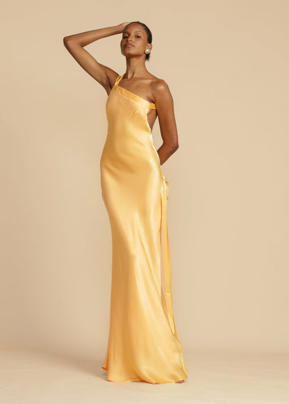 Amelle - A Stylish, Bold and Romantic Dress