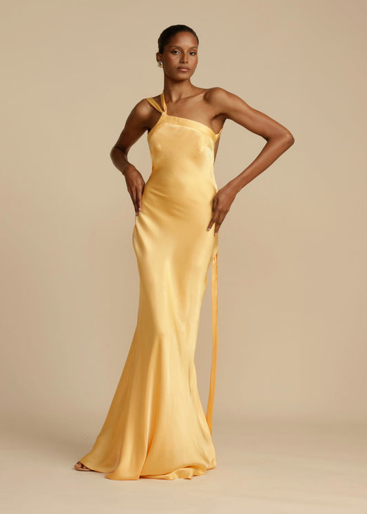 Amelle - A Stylish, Bold and Romantic Dress
